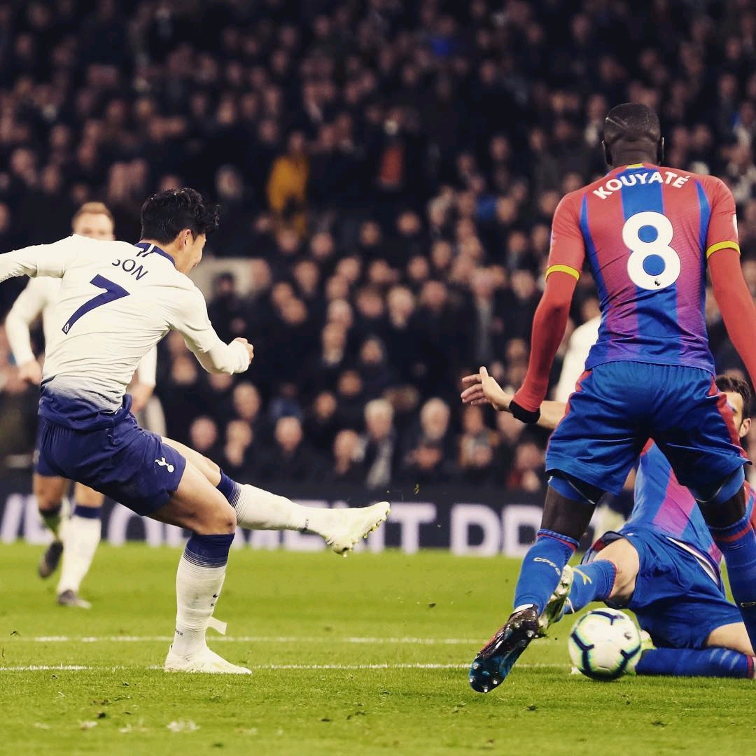 他们足球生 他们足球生